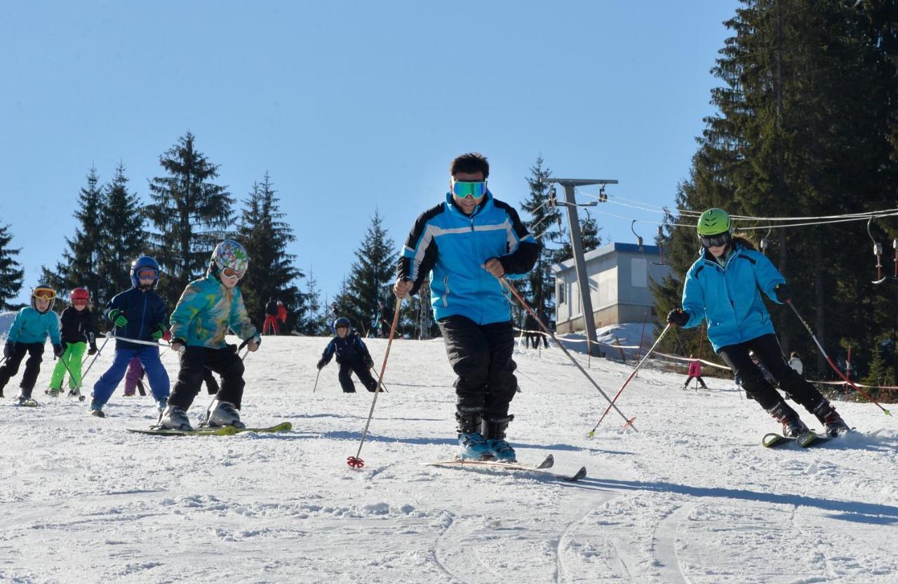 Zlatarske Brvnare Zlatar Chalets Nova Varoš Exteriér fotografie