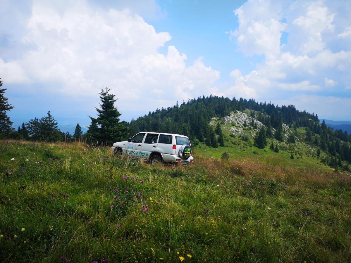 Zlatarske Brvnare Zlatar Chalets Nova Varoš Exteriér fotografie