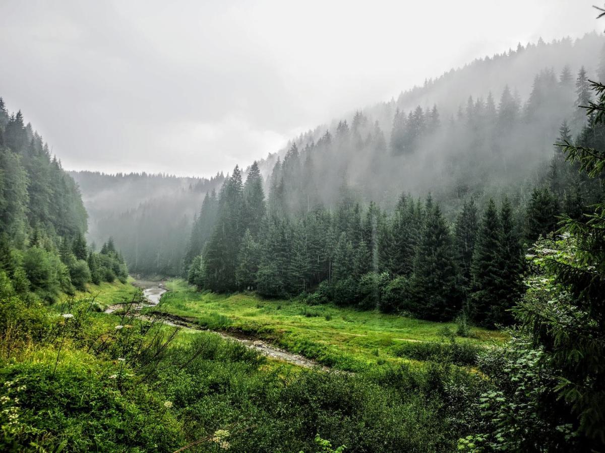 Zlatarske Brvnare Zlatar Chalets Nova Varoš Exteriér fotografie