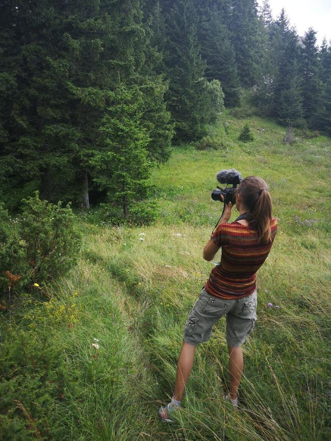 Zlatarske Brvnare Zlatar Chalets Nova Varoš Exteriér fotografie