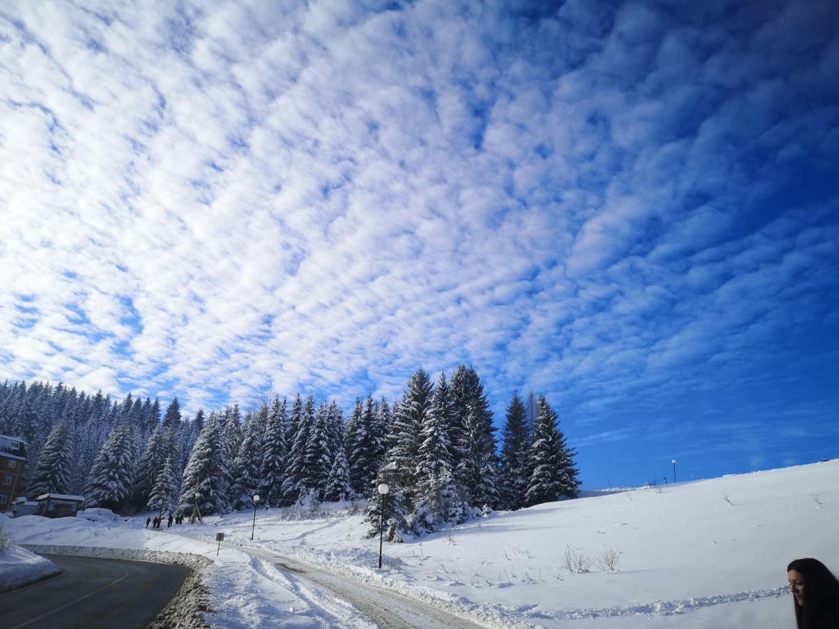 Zlatarske Brvnare Zlatar Chalets Nova Varoš Exteriér fotografie
